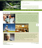 Graceful Systems New Site
